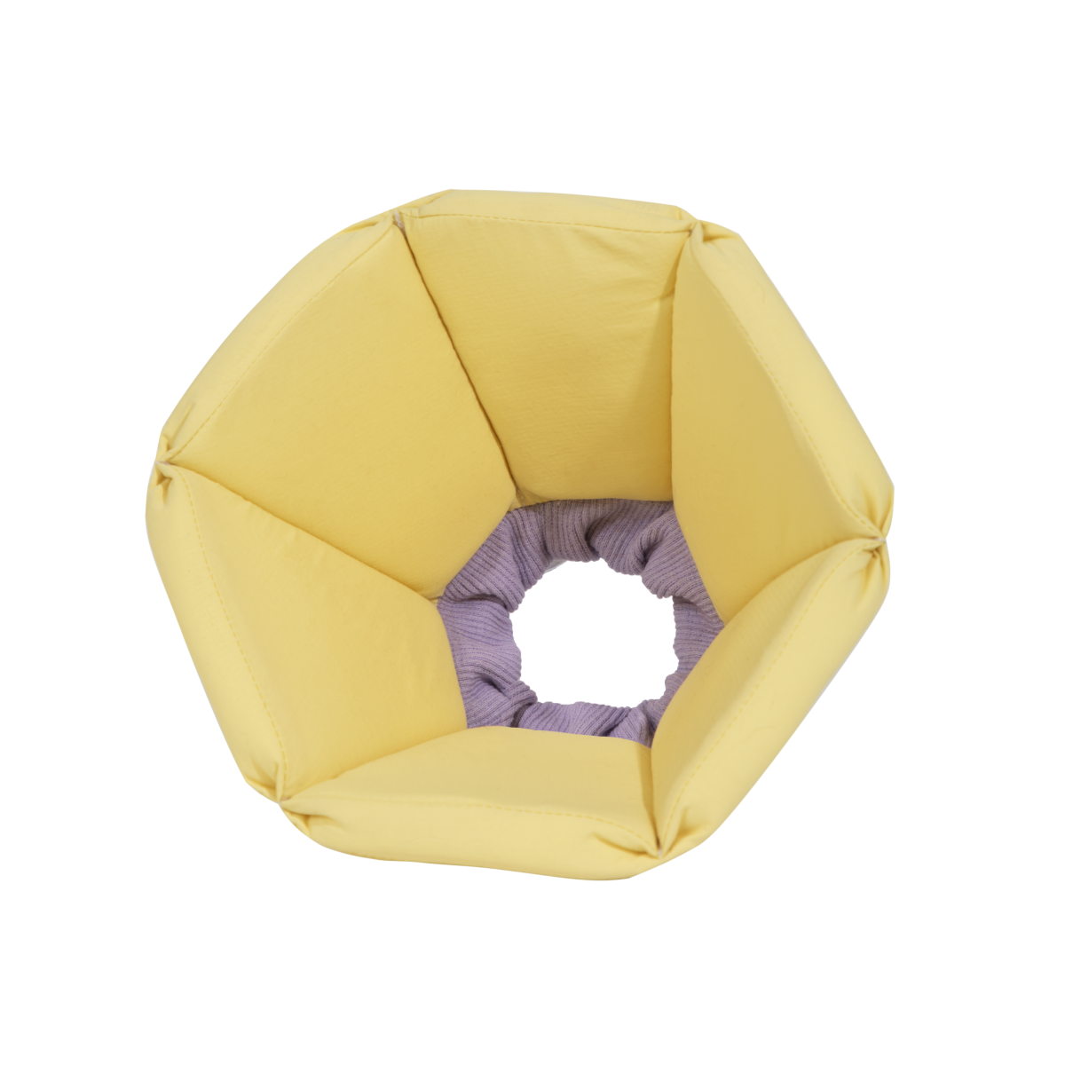 Cozy Sponge Recovery Collar