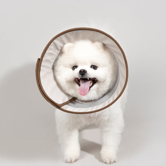 Breathable Mesh Recovery Collar
