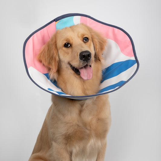 Cozy Soft Cone Collar