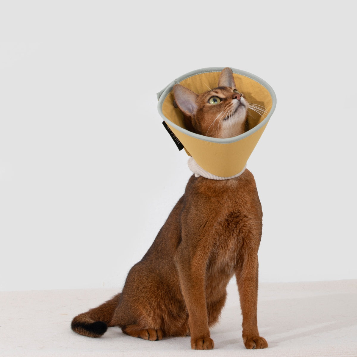 Snap-Button Cone Recovery Collar
