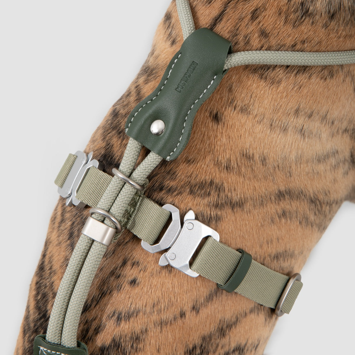 Round Rope Leather Dog Harness