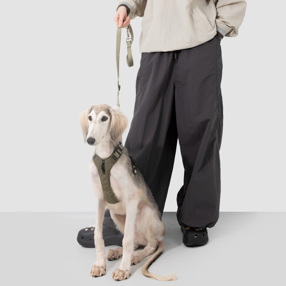 Pressure-Relief Sport Dog Harness