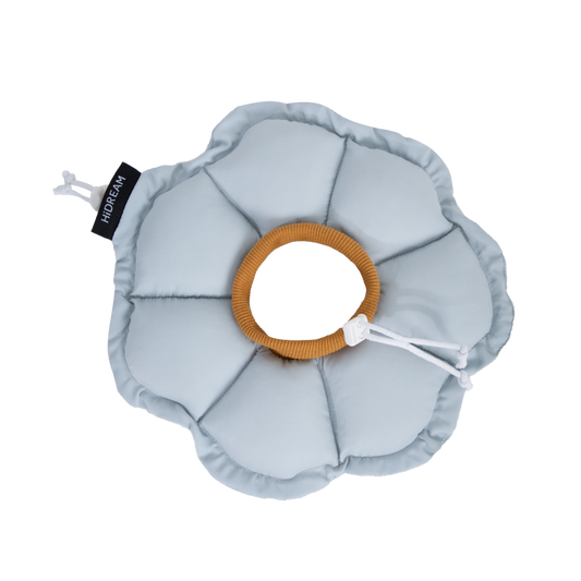 Daisy Recovery Collar