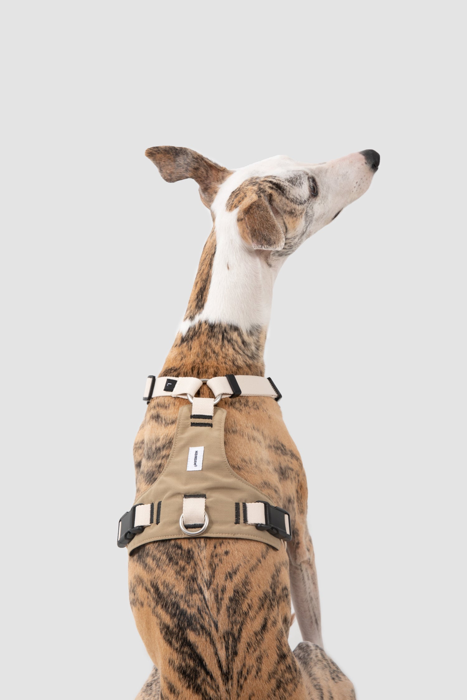 Dog Harnesses
