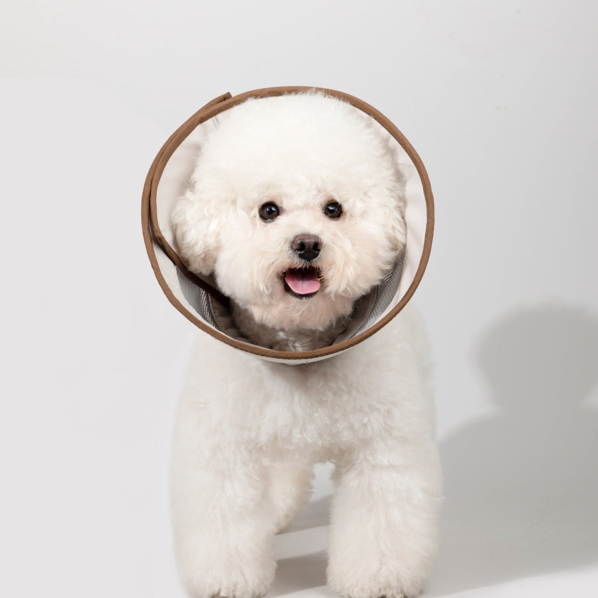 Breathable Mesh Recovery Collar