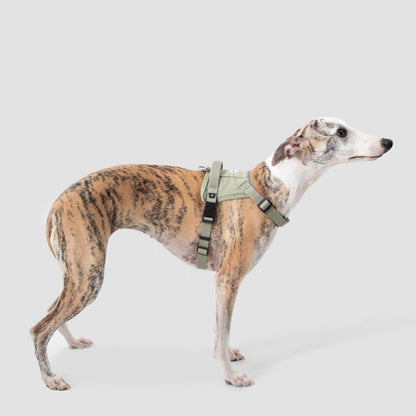 No-Pull Dog Harness