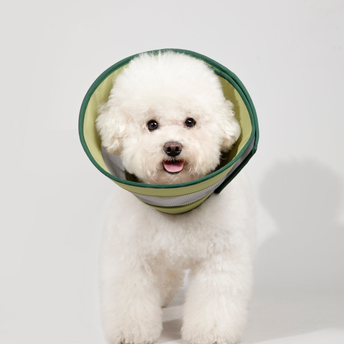 Breathable Mesh Recovery Collar