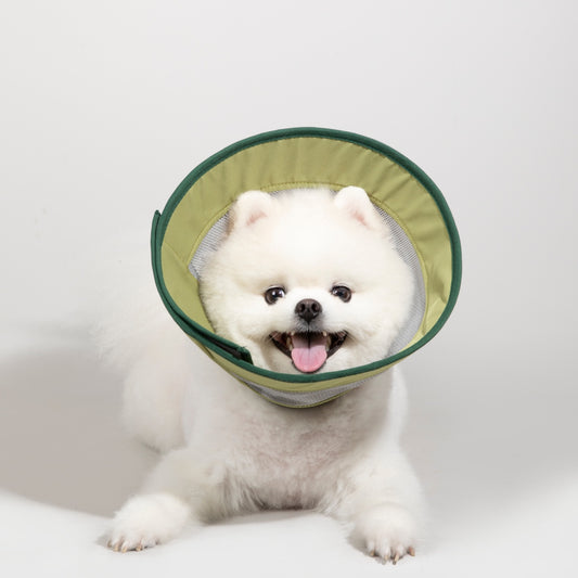 Breathable Mesh Recovery Collar