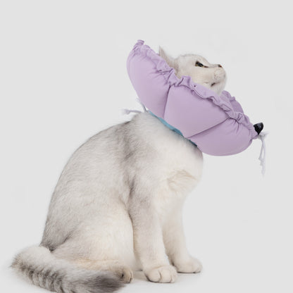 Daisy Recovery Collar