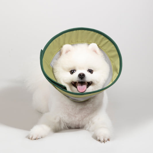 Breathable Mesh Recovery Collar