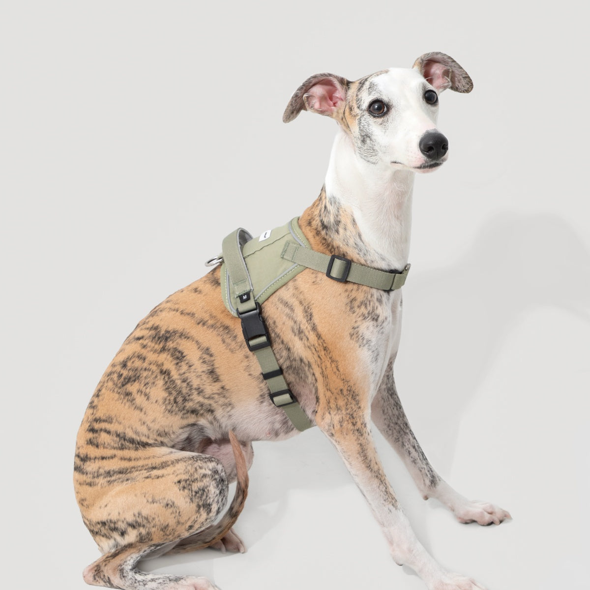 No-Pull Dog Harness