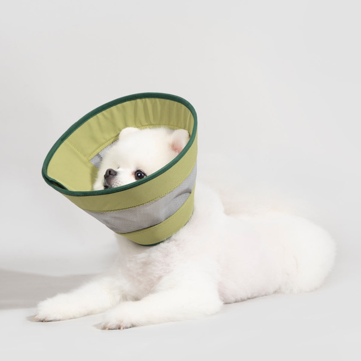 Breathable Mesh Recovery Collar