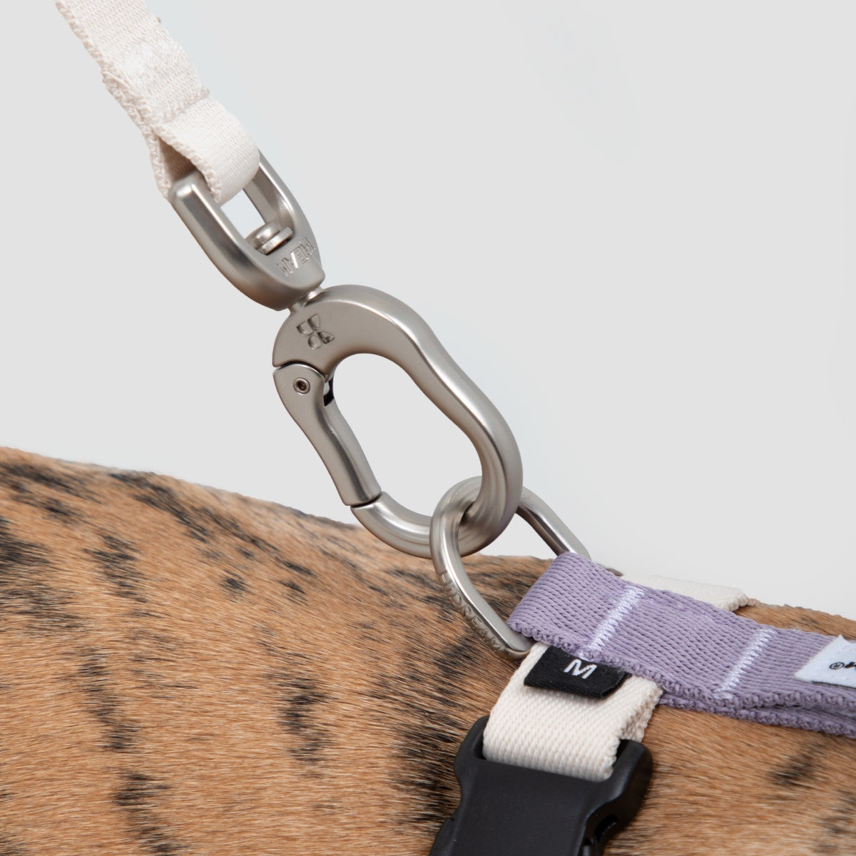 H-Style Dog Harness & Leash Set
