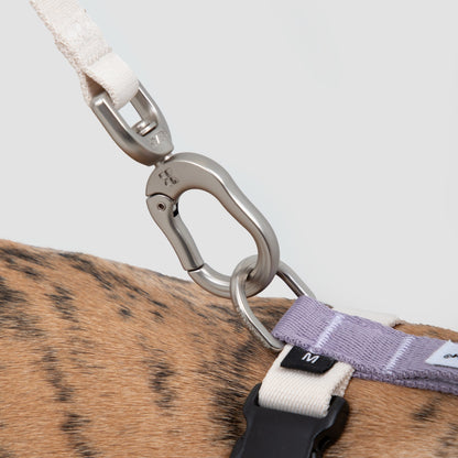 H-Style Dog Harness & Leash Set