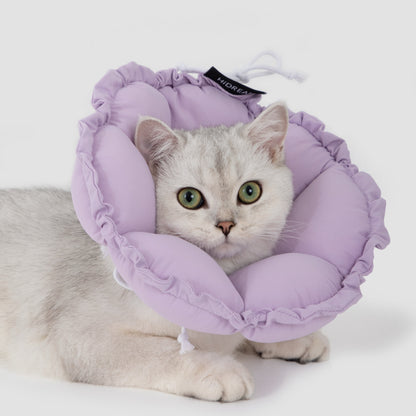 Daisy Recovery Collar