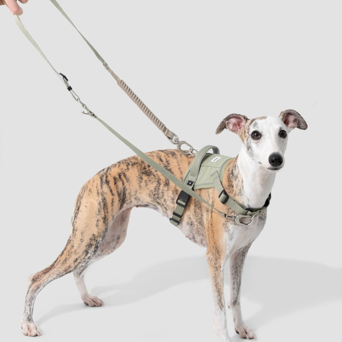 No-Pull Dog Harness