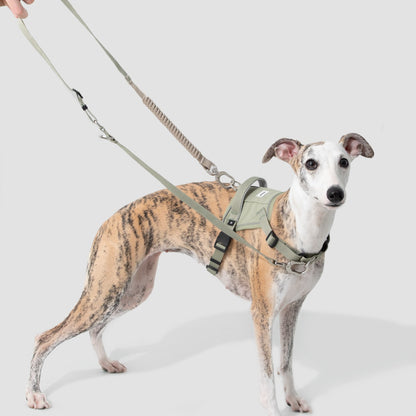 No-Pull Dog Harness