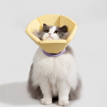 Cozy Sponge Recovery Collar
