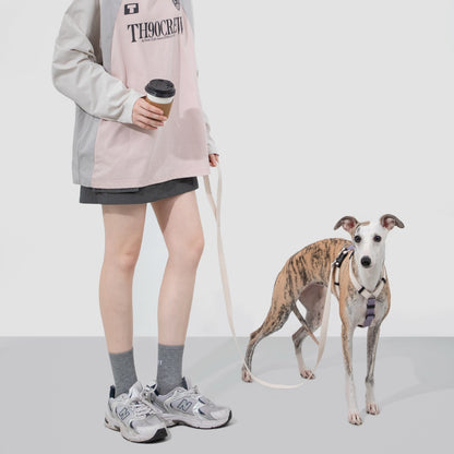 H-Style Dog Harness & Leash Set