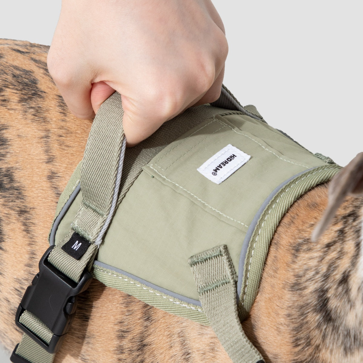 No-Pull Dog Harness
