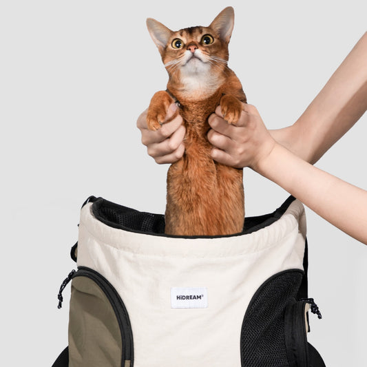 Front Carry Pet Tote Backpack
