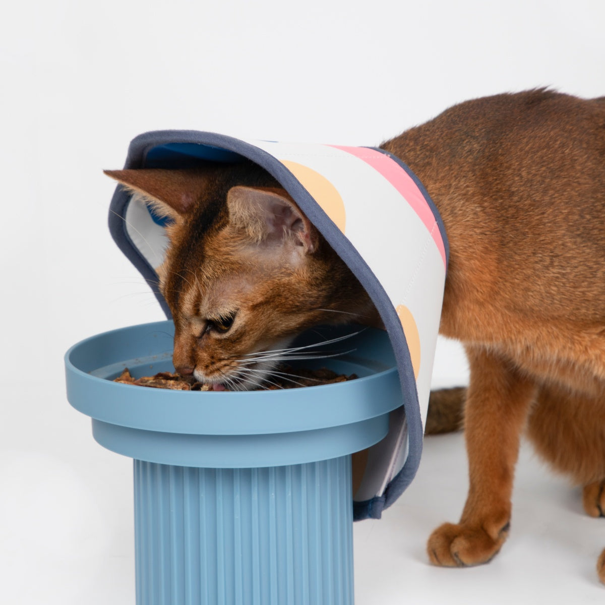 Cozy Soft Cone Collar