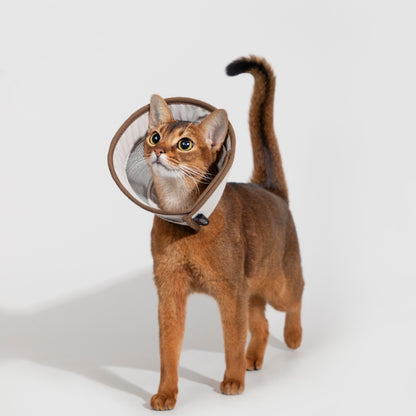 Breathable Mesh Recovery Collar