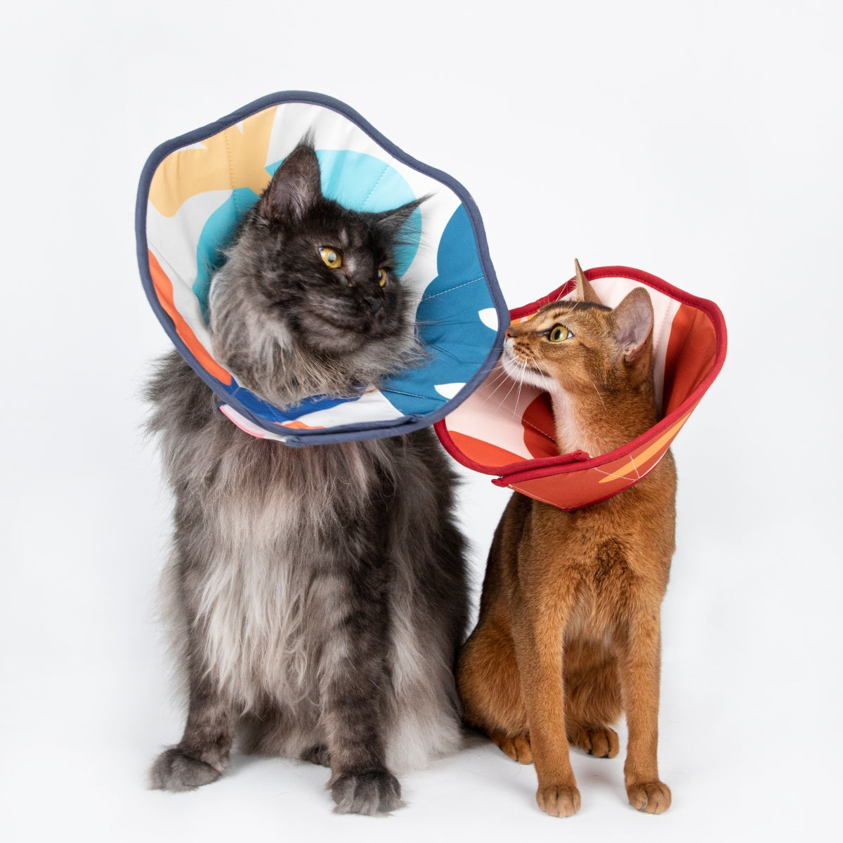 Cozy Soft Cone Collar