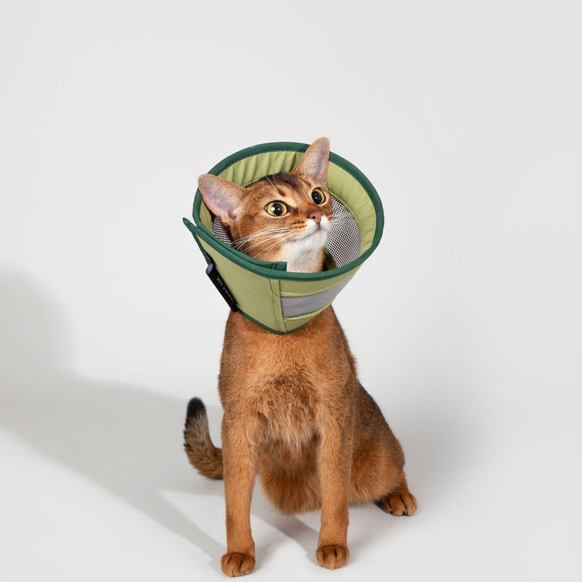Breathable Mesh Recovery Collar