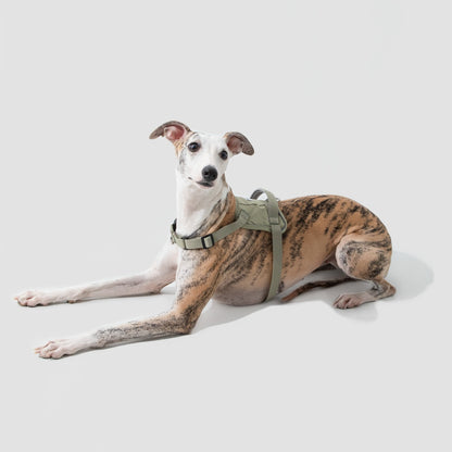 No-Pull Dog Harness