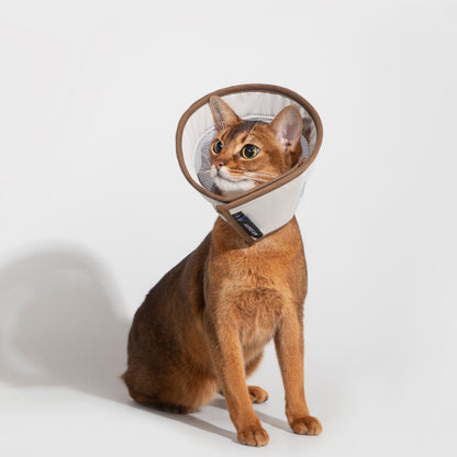 Breathable Mesh Recovery Collar