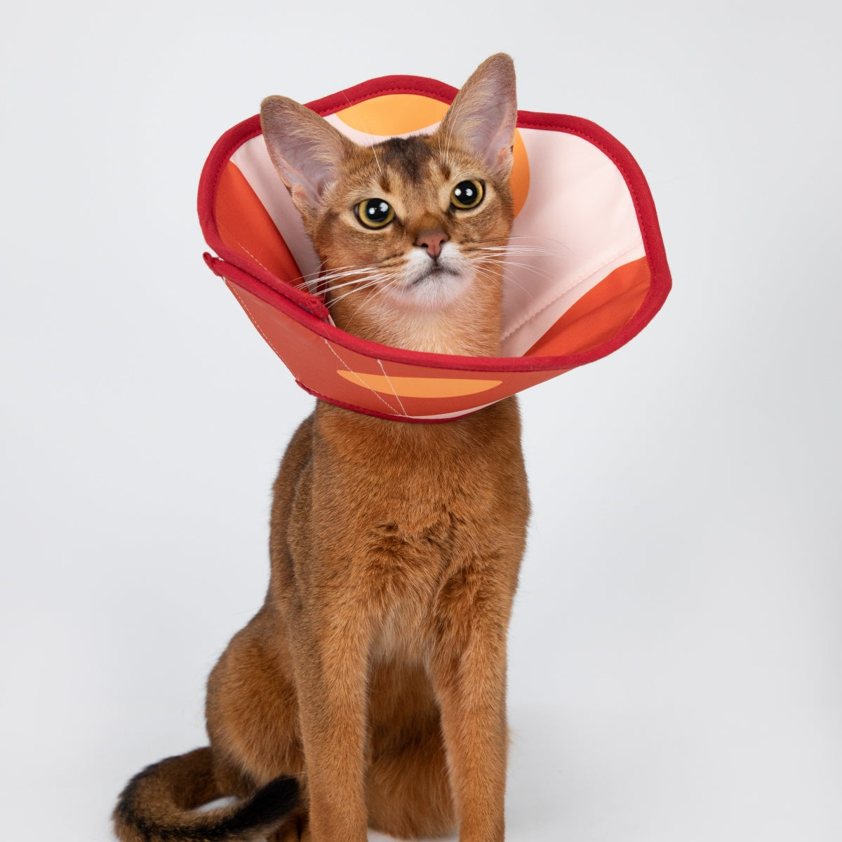 Cozy Soft Cone Collar
