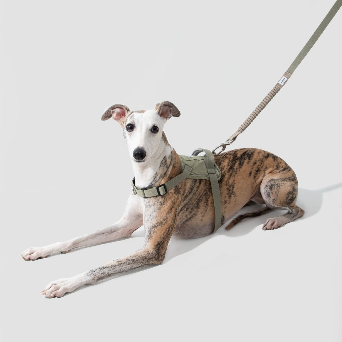 No-Pull Dog Harness