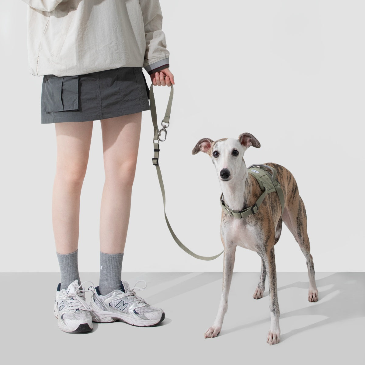 No-Pull Dog Harness