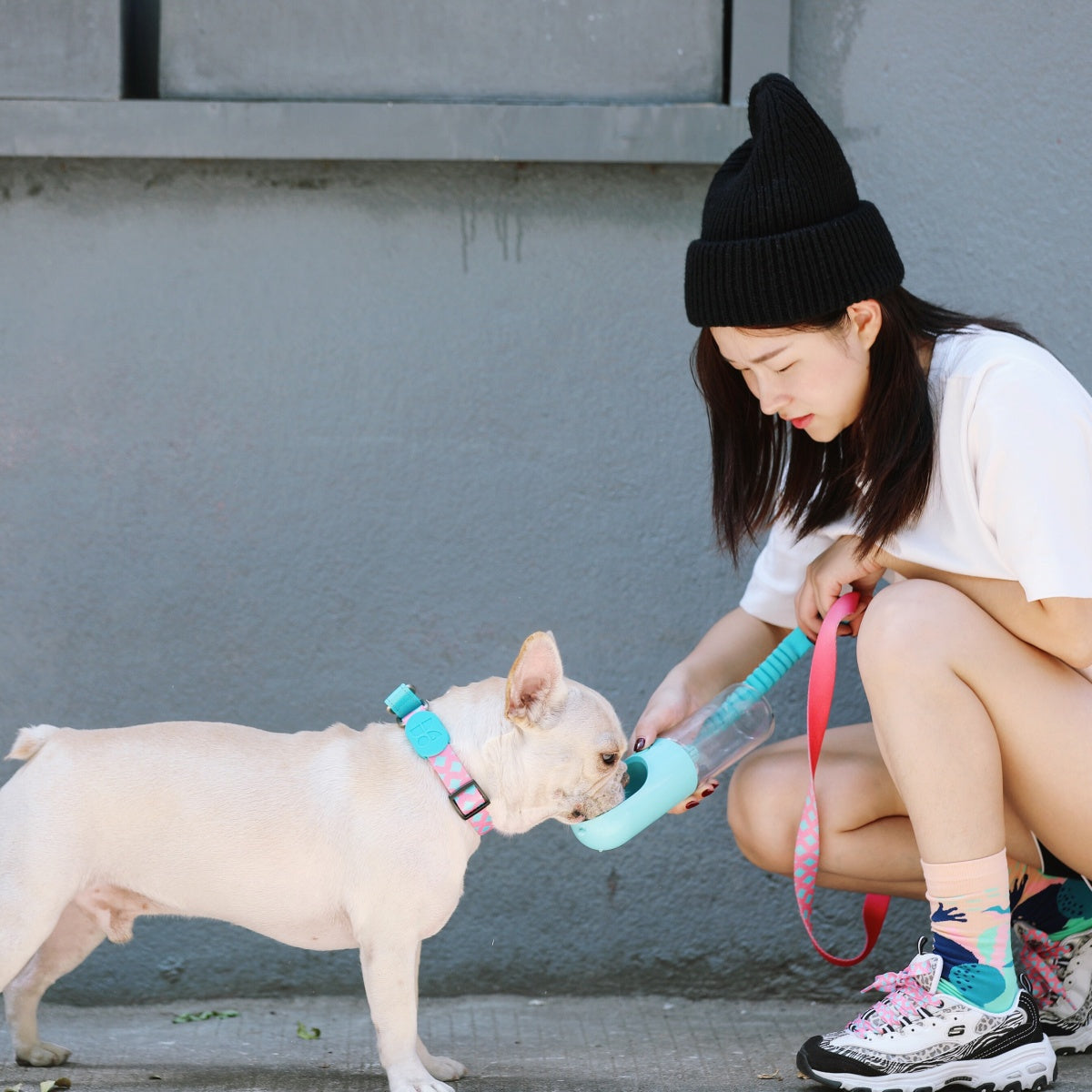 Rainbow PRO No-Pull Half-P Collar