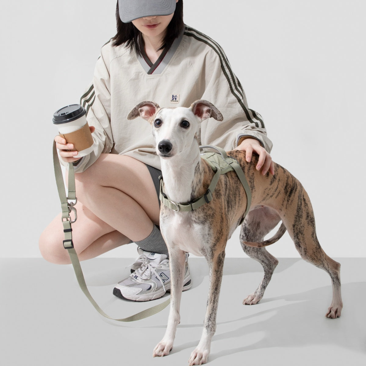 No-Pull Dog Harness