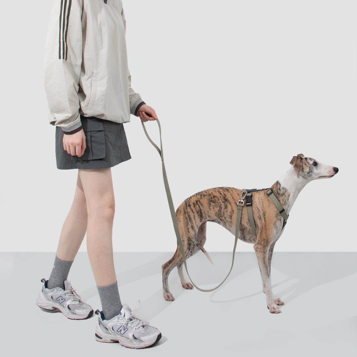 H-Style Dog Harness & Leash Set