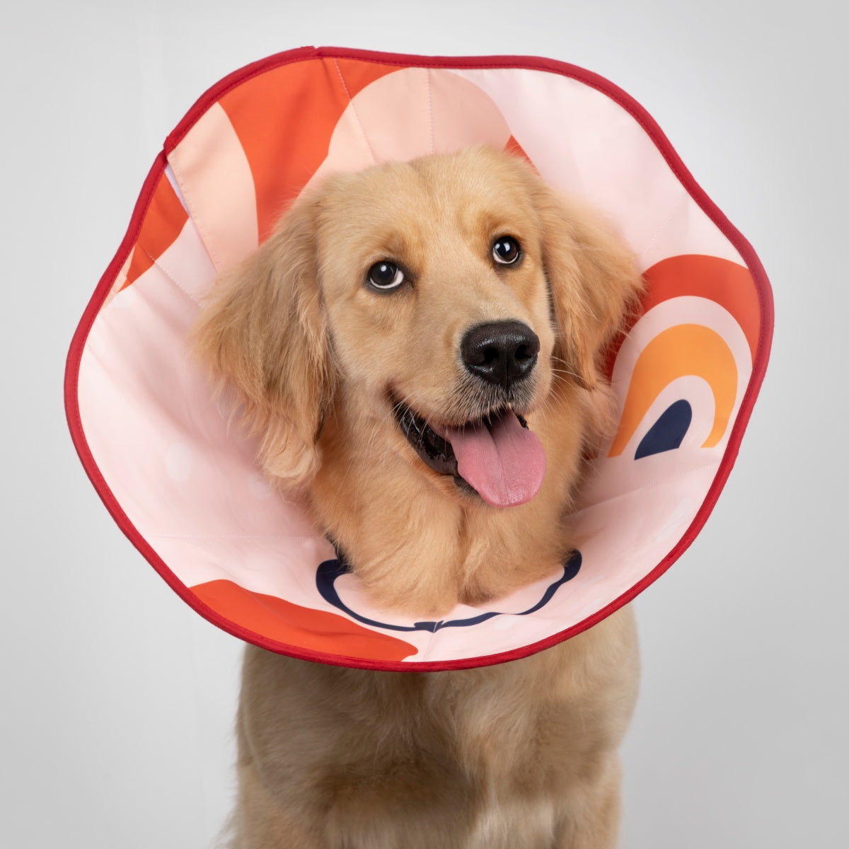 Cozy Soft Cone Collar