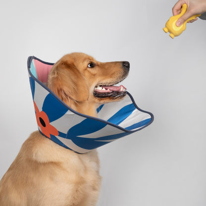Cozy Soft Cone Collar