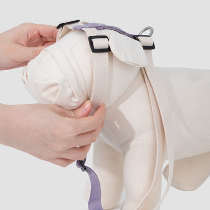 H-Style Dog Harness & Leash Set