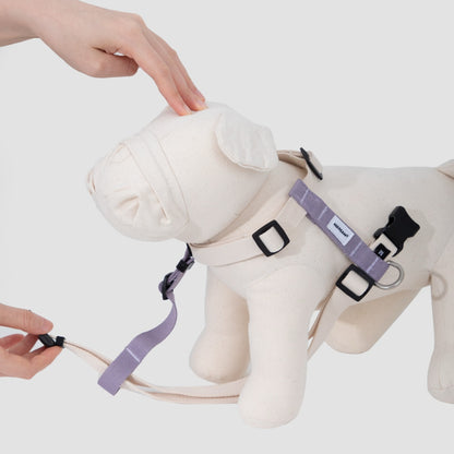 H-Style Dog Harness & Leash Set