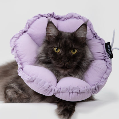 Daisy Recovery Collar