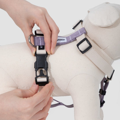 H-Style Dog Harness & Leash Set