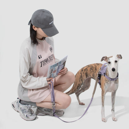 No-Pull Dog Harness