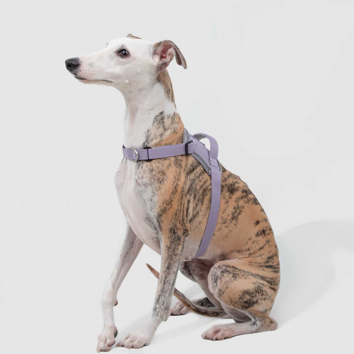 No-Pull Dog Harness