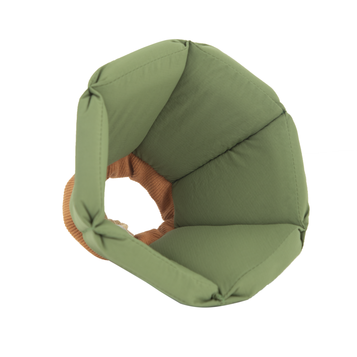Cozy Sponge Recovery Collar