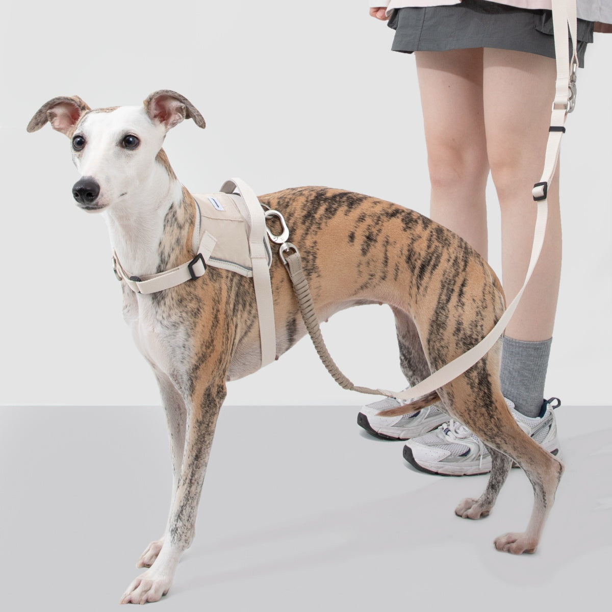 No-Pull Dog Harness