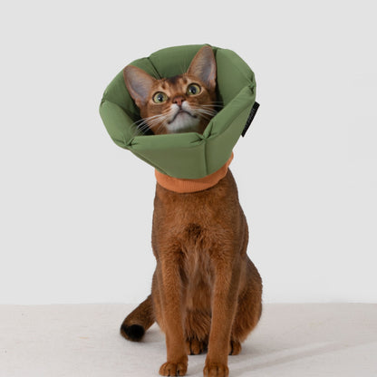 Cozy Sponge Recovery Collar