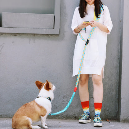 Rainbow PRO Hands-Free Shock-Absorbing Leash