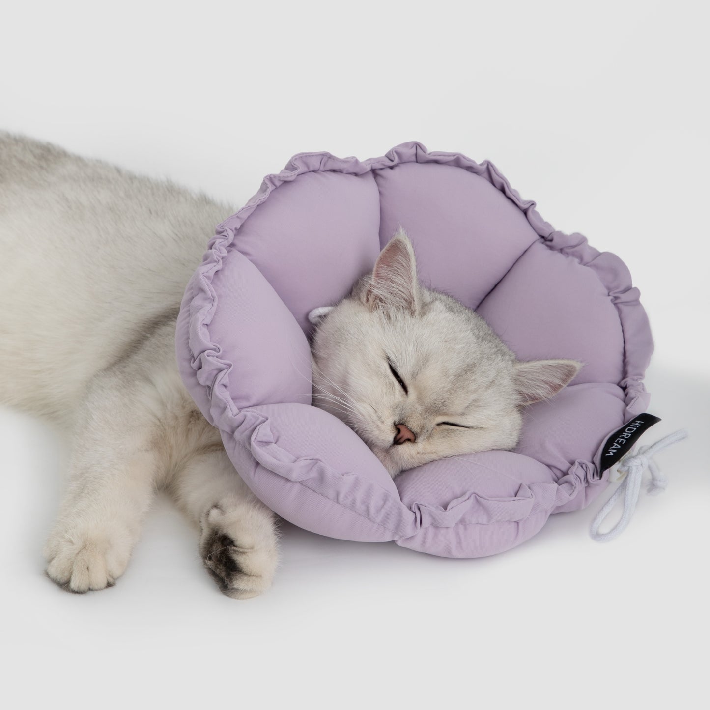 Daisy Recovery Collar